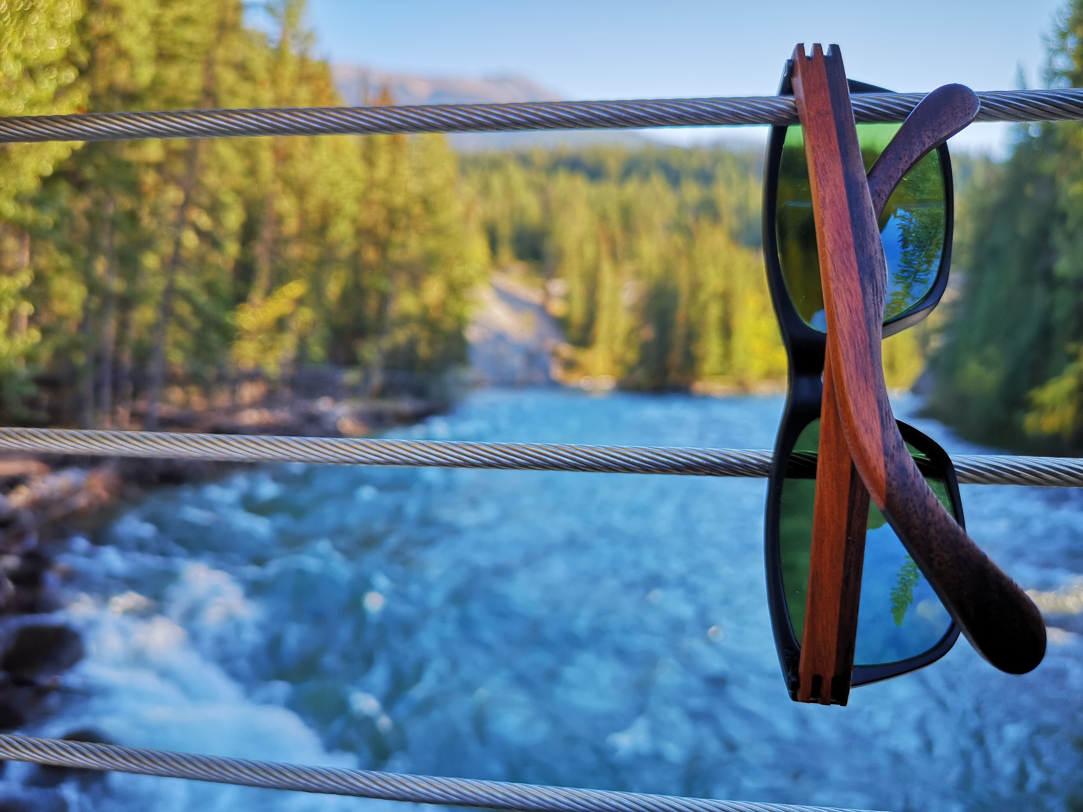 Black sunglass frames with deep rosewood temples and green lenses resting against a tree outdoors