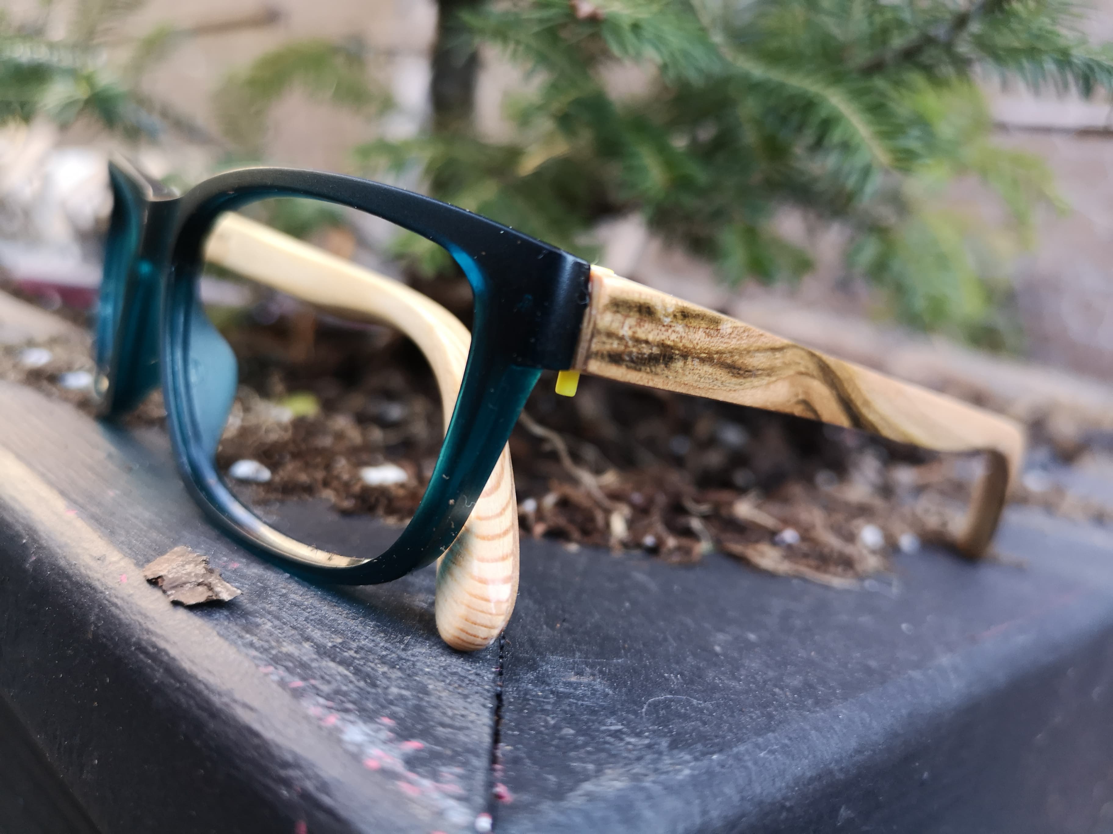Dark teal eyeglasses with zebrawood temples showing bold alternating light and dark grain stripes